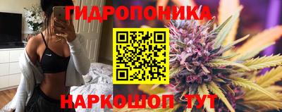 трава Партизанск