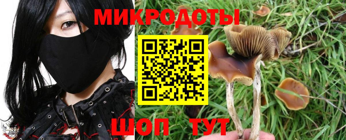 Галлюциногенные грибы мицелий  Вход с VPN  Галлюциногенные грибы Psilocybine cubensis  Туапсе 